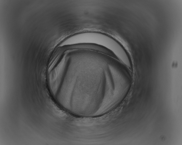 X0000090930009200708271053