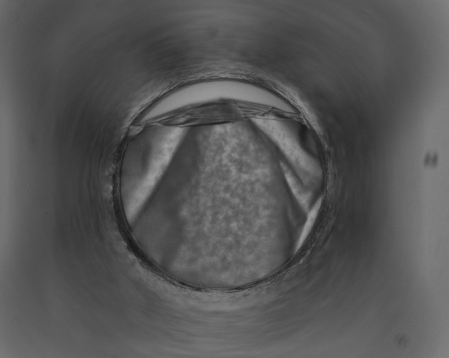 X0000090930010200708271053