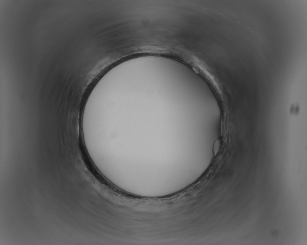 X0000090930011200708271053