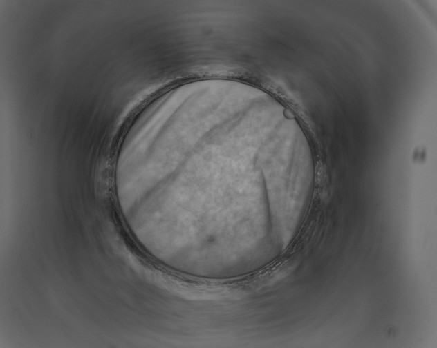 X0000090930012200708271053