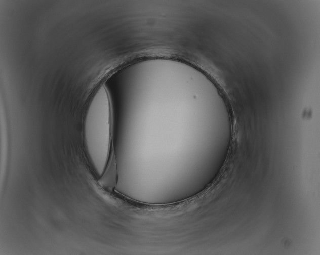 X0000090930013200708271053