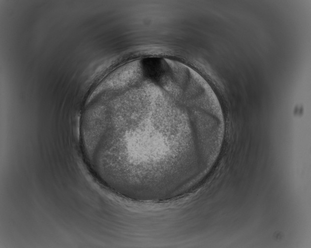 X0000090930014200708271053