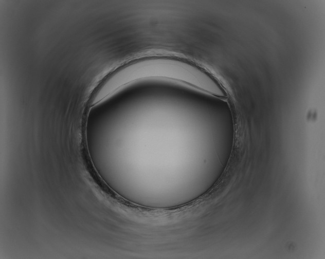 X0000090930015200708271053