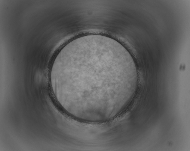 X0000090930016200708271053