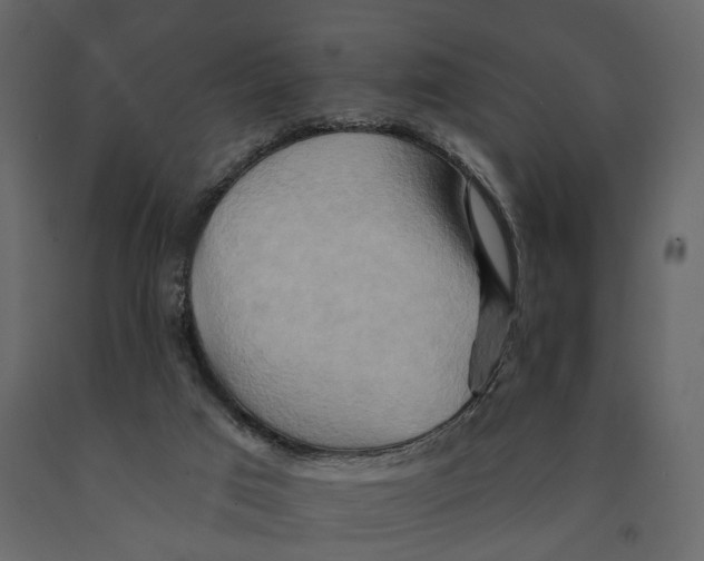 X0000090930017200708271053