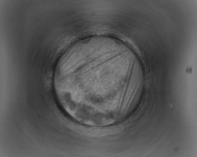 X0000090930018200708271053