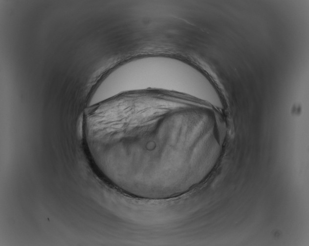 X0000090930019200708271053