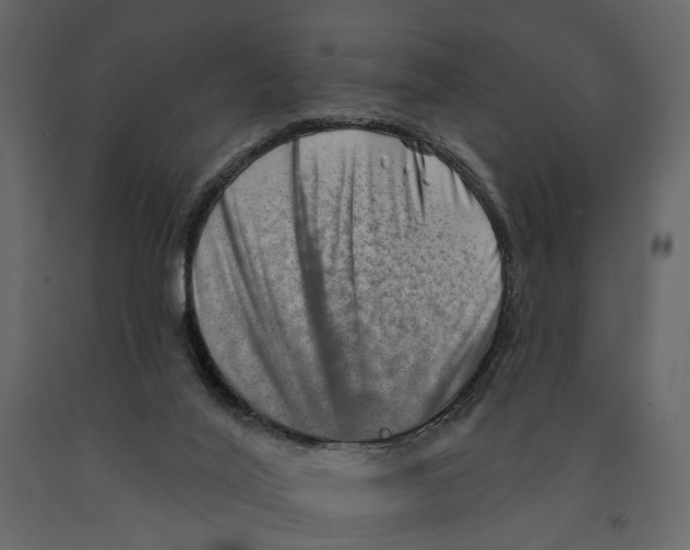 X0000090930020200708271053