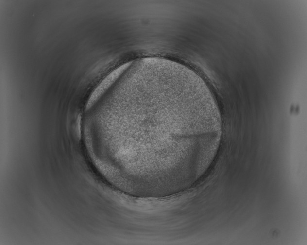 X0000090930022200708271053