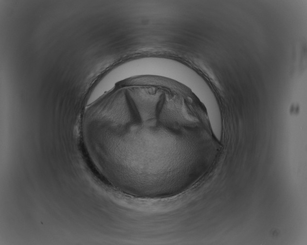 X0000090930023200708271053