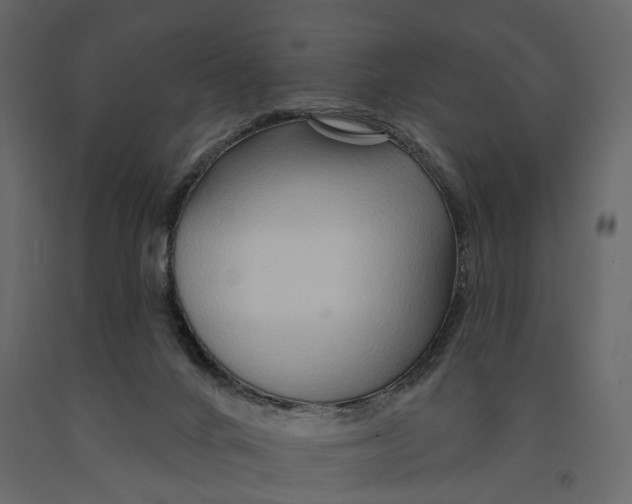 X0000090930024200708271053