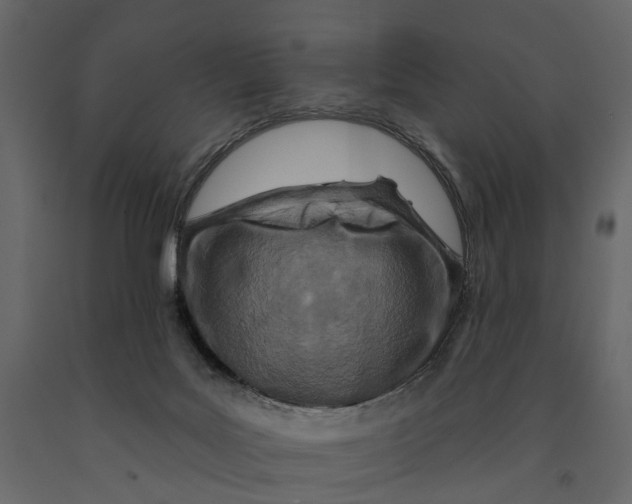 X0000090930027200708271053