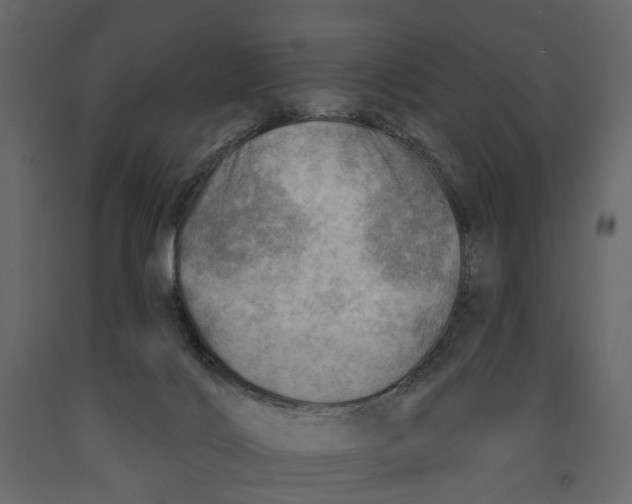 X0000090930028200708271053