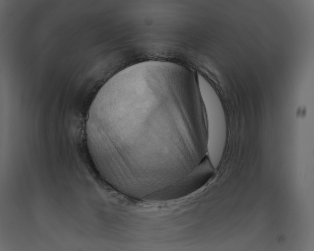 X0000090930029200708271053