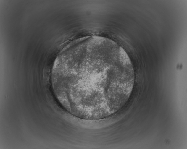 X0000090930030200708271053