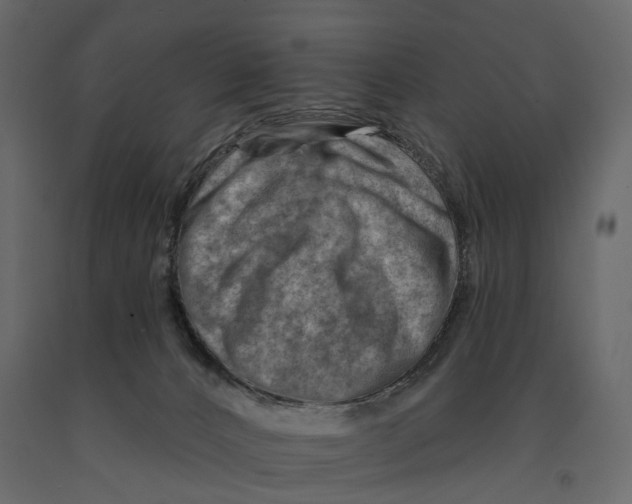 X0000090930032200708271053