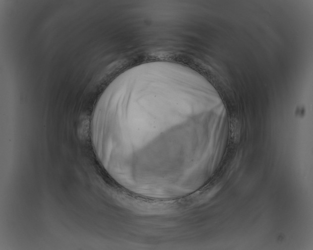 X0000090930036200708271053