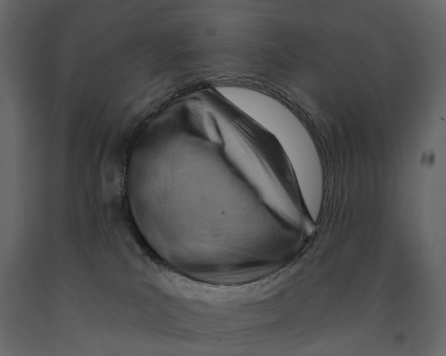 X0000090930039200708271053