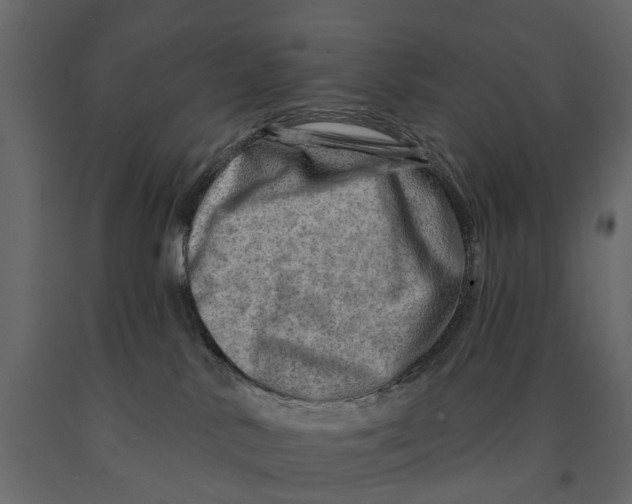 X0000090930042200708271053