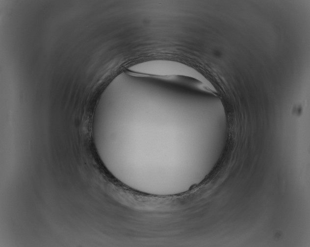 X0000090930044200708271053