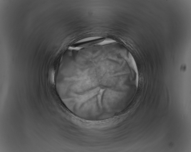 X0000090930046200708271053