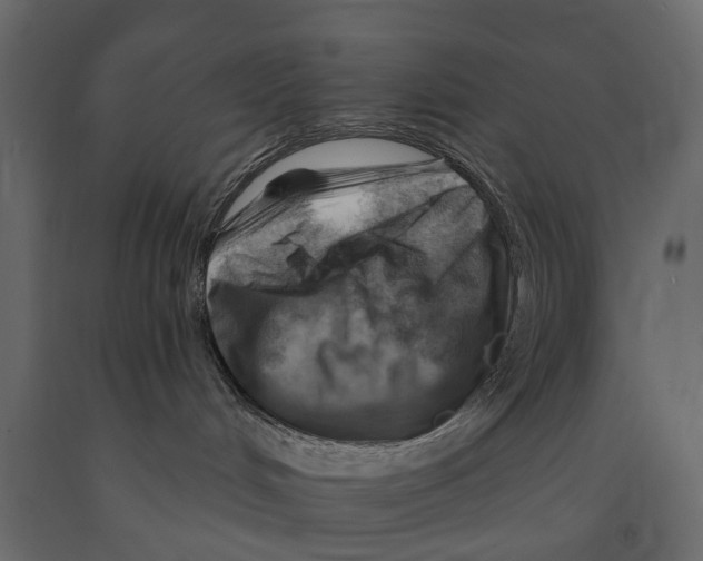 X0000090930048200708271053