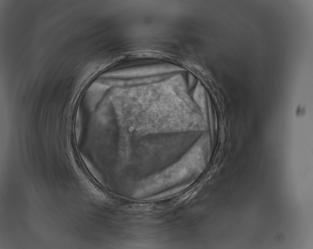 X0000090930049200708271052