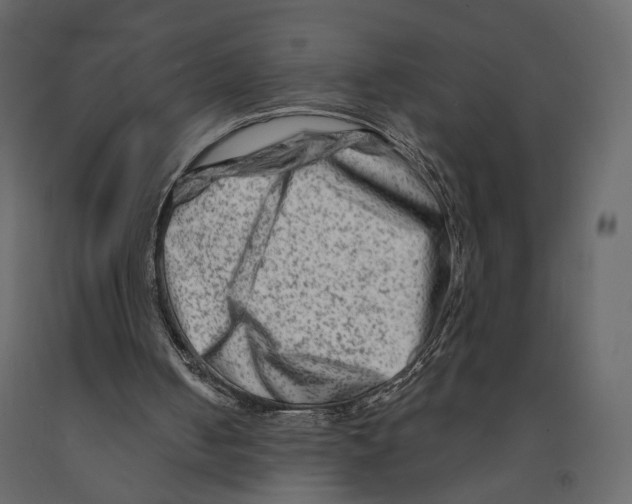 X0000090930050200708271052