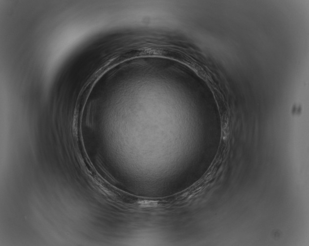 X0000090930052200708271052