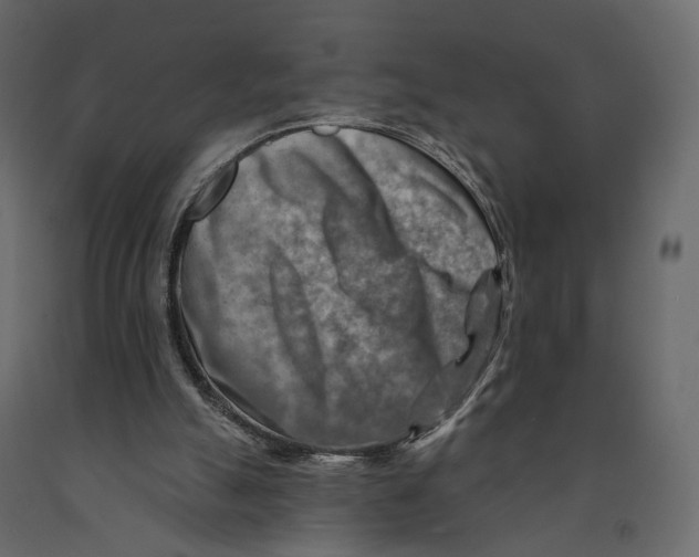 X0000090930055200708271052