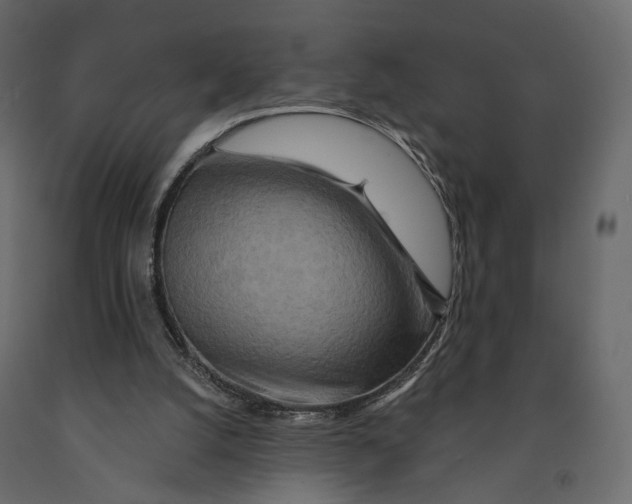 X0000090930056200708271052