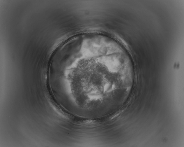 X0000090930059200708271052