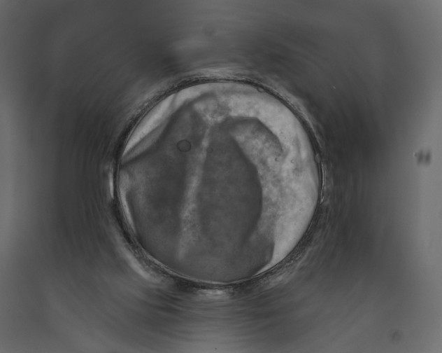 X0000090930061200708271052