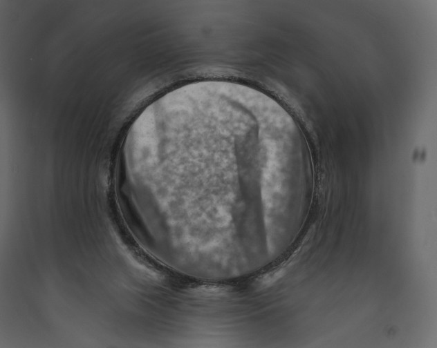 X0000090930063200708271052