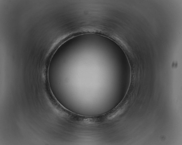 X0000090930064200708271052