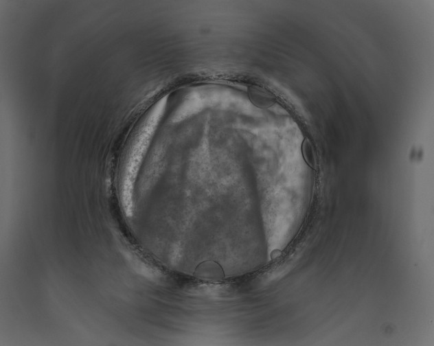 X0000090930065200708271052