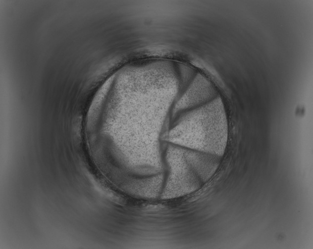 X0000090930066200708271052