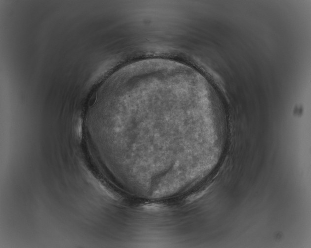 X0000090930067200708271052