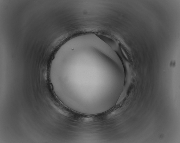 X0000090930068200708271052