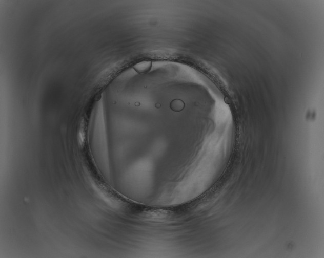 X0000090930069200708271052