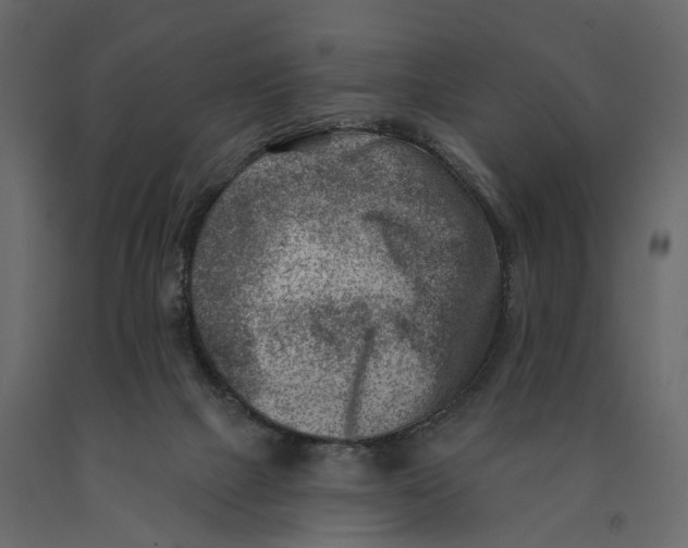 X0000090930073200708271052