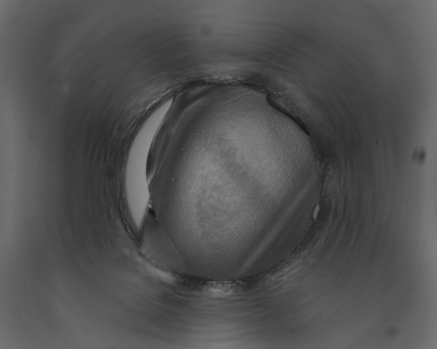 X0000090930076200708271053