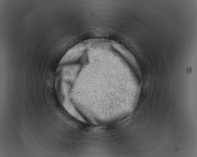 X0000090930078200708271053