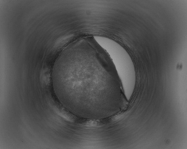 X0000090930080200708271053