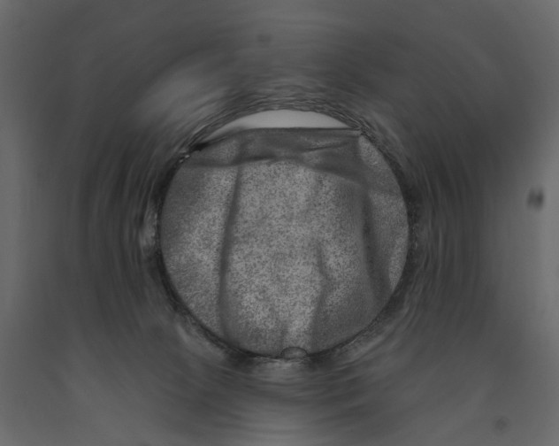 X0000090930081200708271053