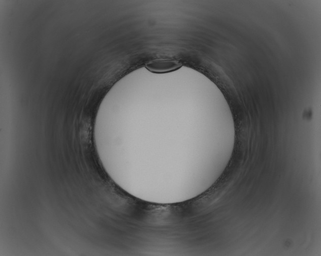 X0000090930083200708271053