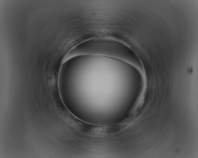 X0000090930084200708271053