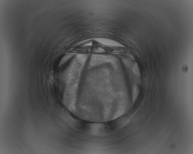 X0000090930085200708271053