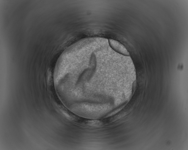 X0000090930087200708271053