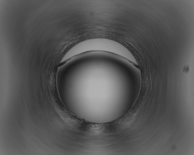 X0000090930088200708271053